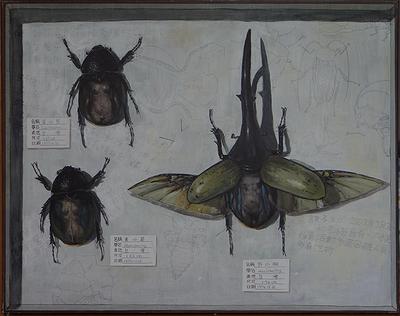 我和兩個女人的封面圖