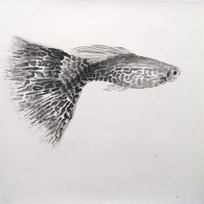 Carefree・Inspiring-The Thesis of Chinese Ink and Color Painting's Cover