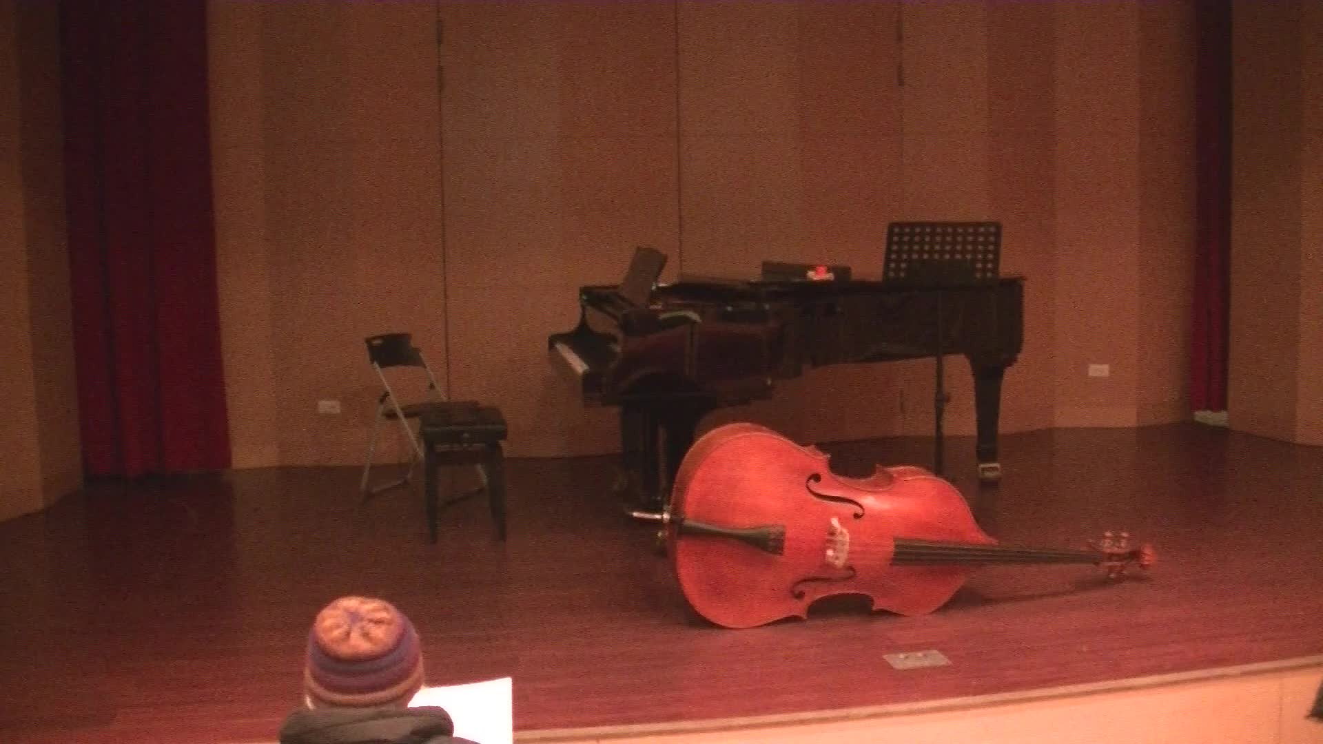 莫札特《低音管協奏曲K. 191》低音提琴版本研究與詮釋分析3