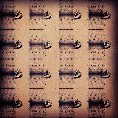 圖載場—白虛與夜實的生物世界-2