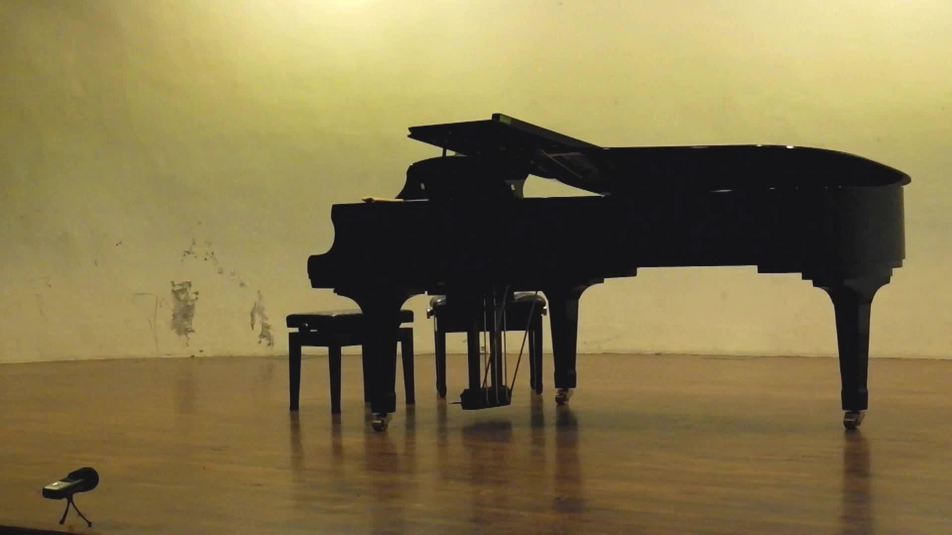 雅納捷克《小提琴奏鳴曲》音樂表情與演奏技巧之探究與分析-2