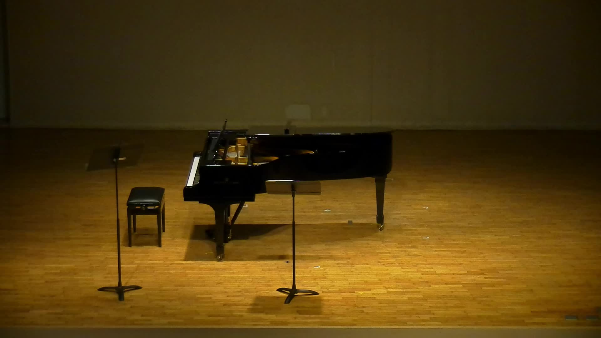 多明尼克．阿爾堅多《春之歌》分析與詮釋的封面圖