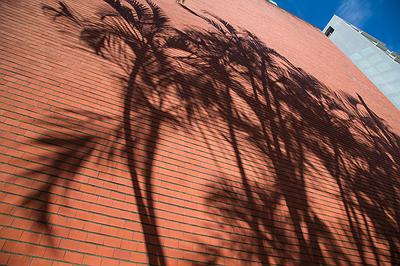 《旅程》：No.1673_台灣台北