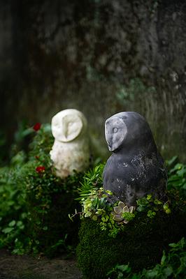 青苔球花器2及3合影的封面圖