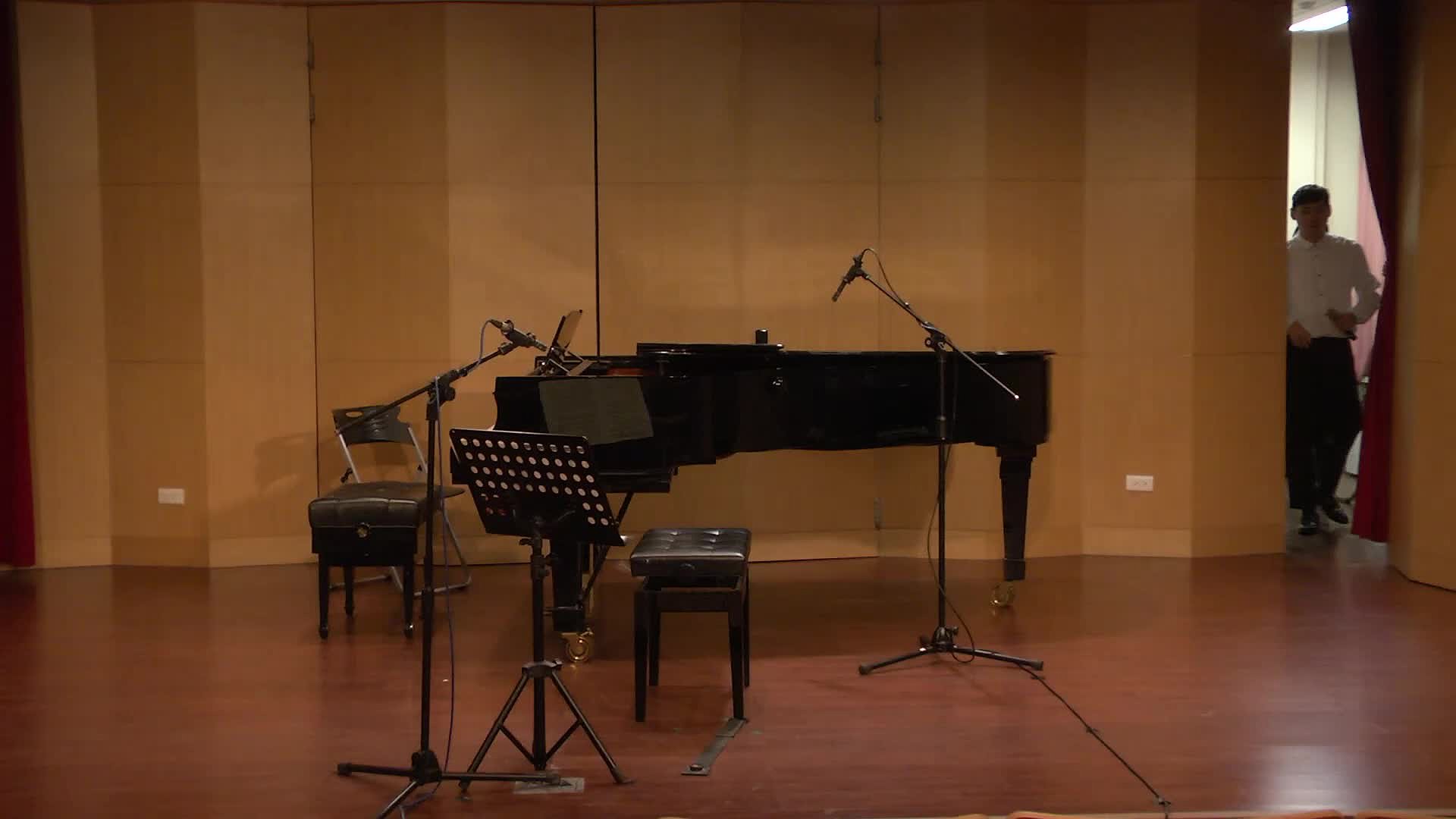 The Analysis and Interpretation of Cello Sonata No.1 in E minor, Op. 38, by Johannes Brahms's Cover