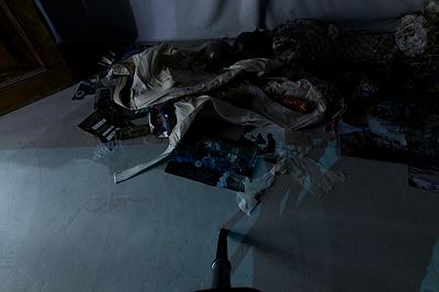 〈流變空間〉，2022，樹酯、漁網、照片、木馬、魚（模型）、黑鳶蛋（模型）LED燈，依場域而定。-1