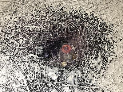 線，在進行式 - 曾微雅創作研究 IMG_9280