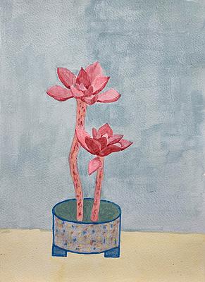 Plants Healing—A Discourse on Ying-Syuan Huang's Artworks's Cover