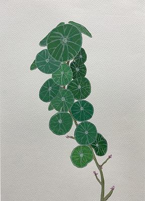 Plants Healing—A Discourse on Ying-Syuan Huang's Artworks's Cover