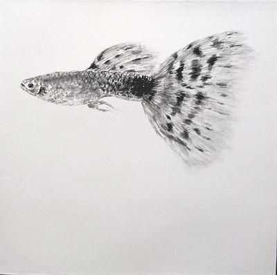 Carefree・Inspiring-The Thesis of Chinese Ink and Color Painting's Cover