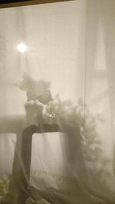 多線創作的首拍：陳昱廷創作研究 37 陳昱廷，〈庭〉，植物、人造植物、燈、光影、木材，依場域而定，2018。4