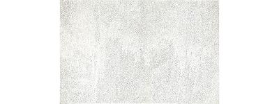 草間彌生，《白色的網》的封面圖