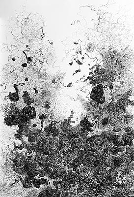 〈2017-1〉，2017，水性墨、墨、銅版紙，78.5 cm × 54 cm.的封面圖