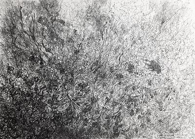 〈蝶舞之二〉，2016，石墨、油性墨、水性墨、水彩紙，38.6 cm × 54.5 cm.