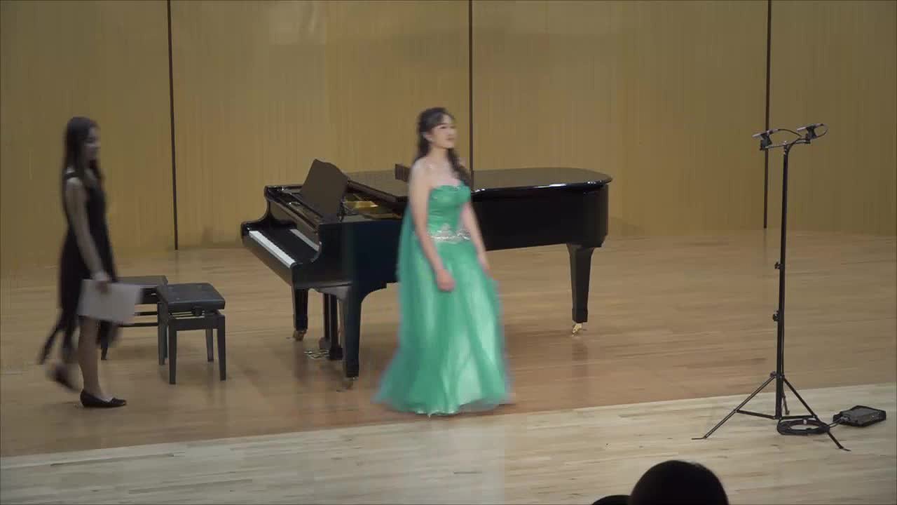 An analysis and Interpretation of five Mignon’s Lied“Kennst du das Land”'s Cover