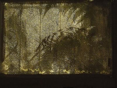 多線創作的首拍：陳昱廷創作研究 35 陳昱廷，〈庭〉，植物、人造植物、燈、光影、木材，依場域而定，2018。2