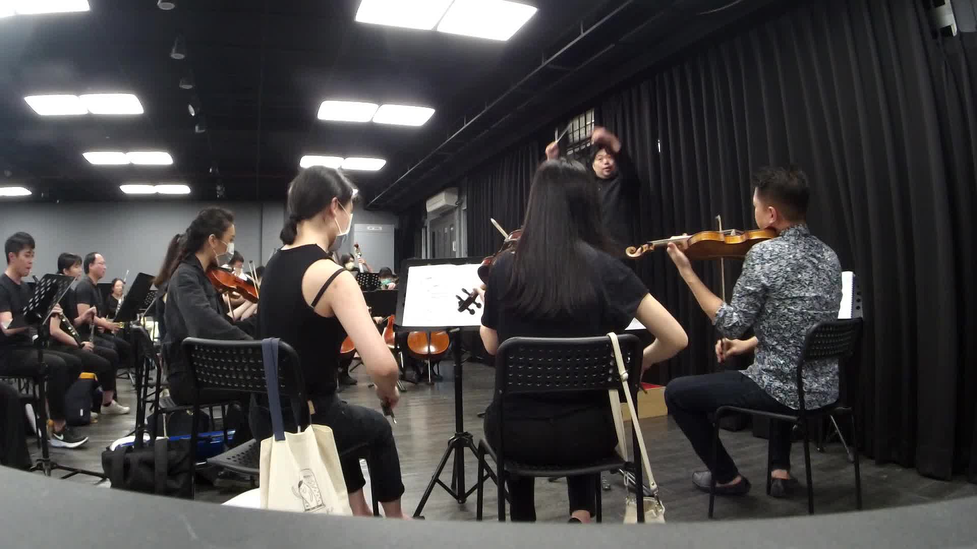 理查・史特勞斯交響詩《英雄的生涯》指揮詮釋-2的封面圖