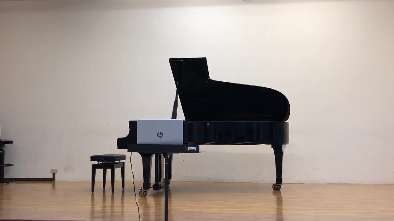 賽西莉‧夏米娜德  《音樂會練習曲，作品35》分析與詮釋/畢業音樂會2的封面圖