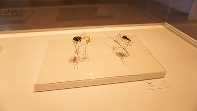 潛境－梁紫祺無胎體琺瑯創作論述-展覽照片-2