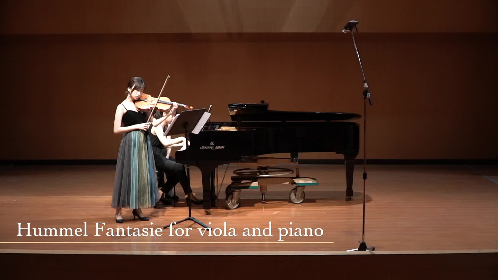 The Analysis of Name Viola Recital's Cover