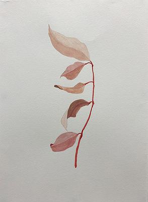 Plants Healing—A Discourse on Ying-Syuan Huang's Artworks's Cover