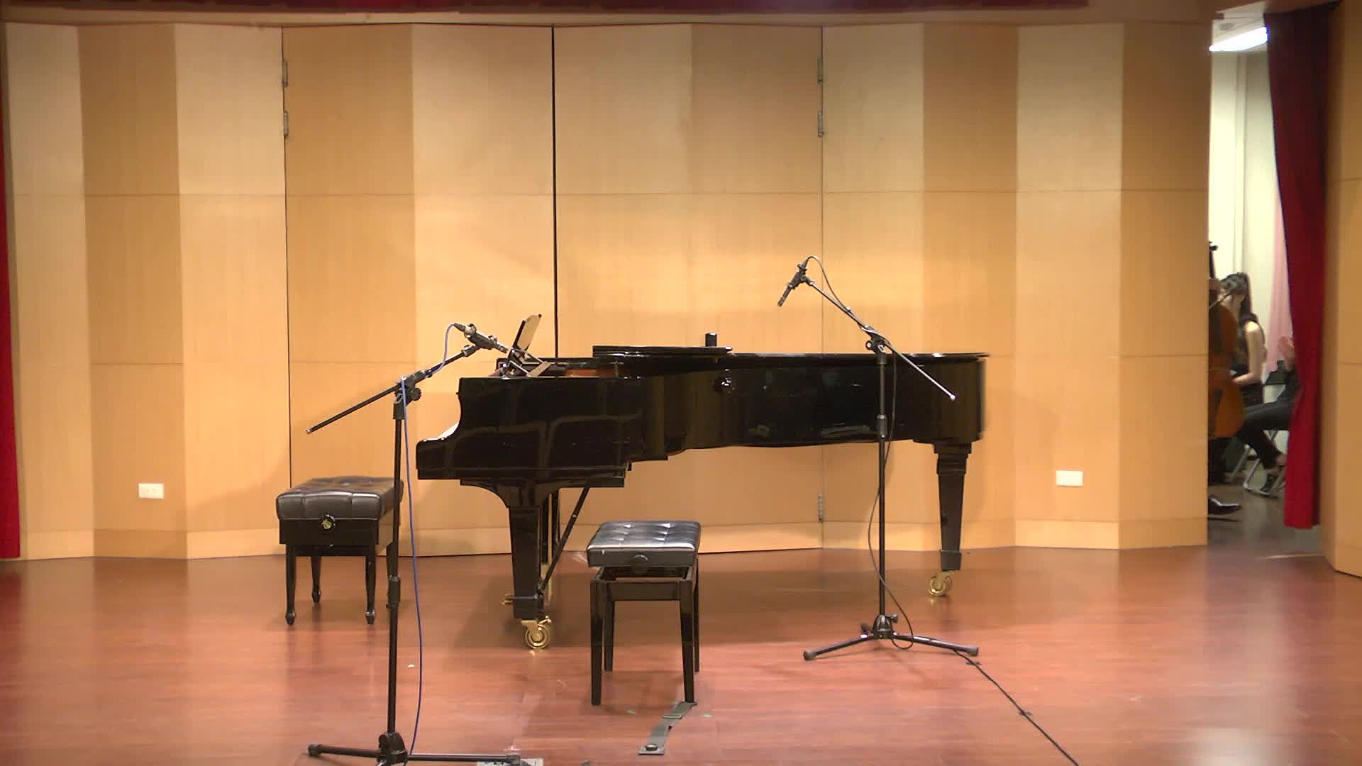 The Analysis and Interpretation of Cello Sonata No.1 in E minor, Op. 38, by Johannes Brahms's Cover