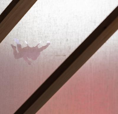 卡門線-9的封面圖