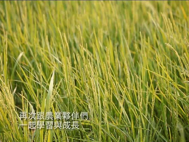 The Cape of Reborn-2's Cover