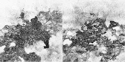 〈無題 I、II〉，2018，墨、水性墨、碳酸鈣混合物、木板，60 cm × 60 cm × 2pc.