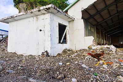 Lanyu of Seeing-43's Cover