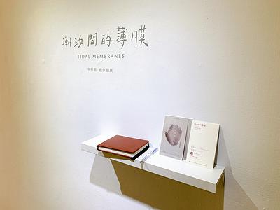 身體邊界的內外乘載─ 乳膠應用於金工創作論述-圖61
