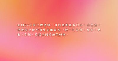 互動網站《28天》之創作論述 04