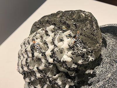 9囚-3的封面圖