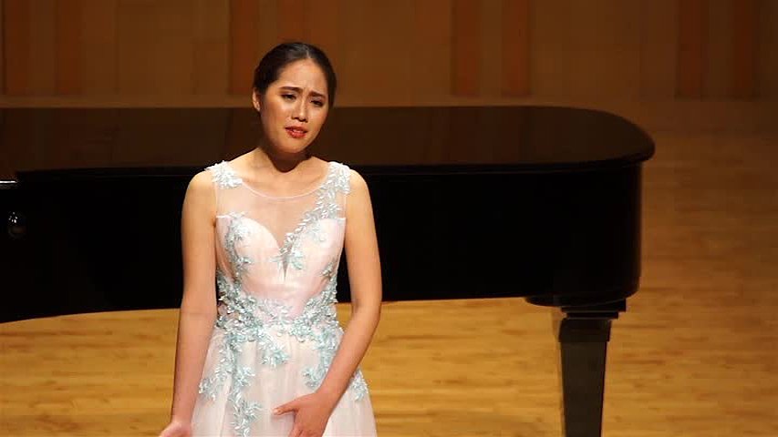 The Analysis and Interpretation of Dvořák Zigeunermelodien op.55's Cover