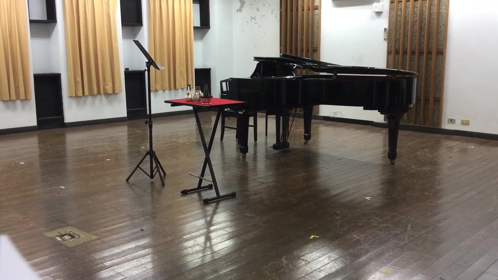 史提文斯：《小號與鋼琴的奏鳴曲分析與詮釋》的封面圖