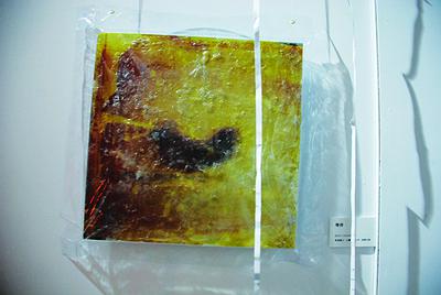 主體呈顯-封存記憶