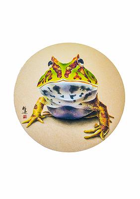 圓靈廣寒-綠金錢角蛙