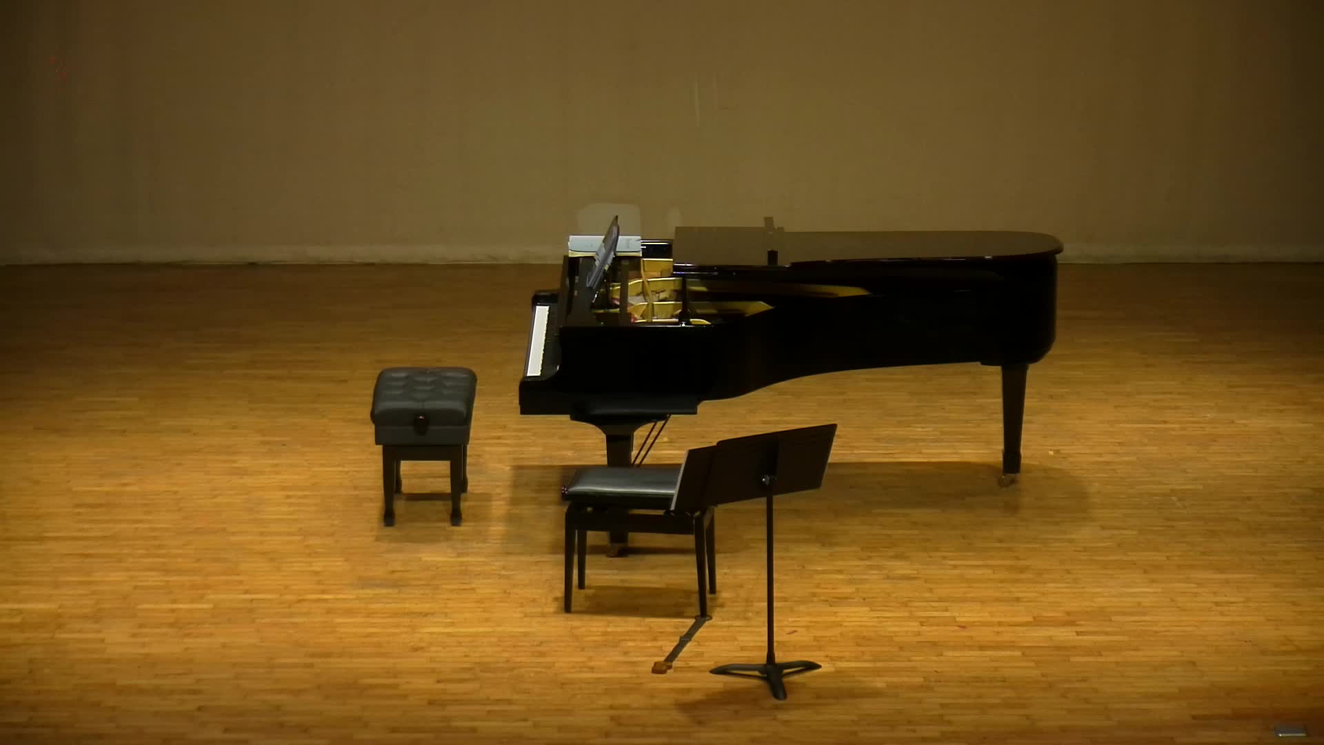 An Analysis and Interpretation of the Sonata for Piano and Cello in A Minor, Op. 36 by Edvard Grieg's Cover