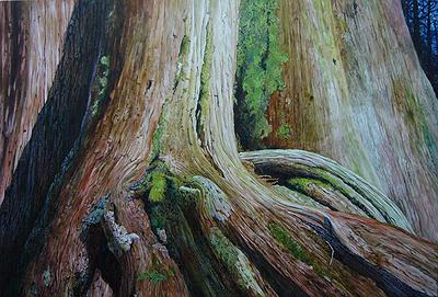 Cypress Series-千年之初的封面圖