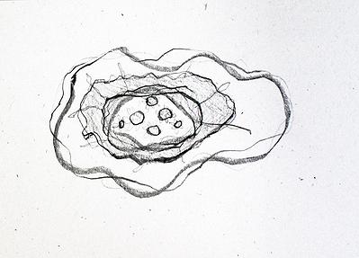 Plants Healing—A Discourse on Ying-Syuan Huang's Artworks's Cover