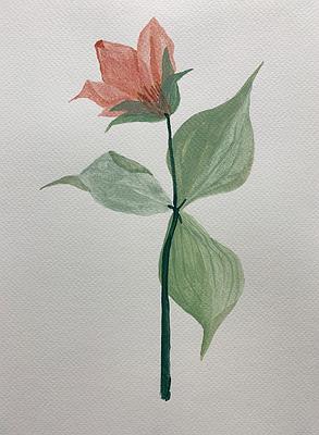 Plants Healing—A Discourse on Ying-Syuan Huang's Artworks's Cover