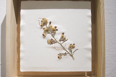 多線創作的首拍：陳昱廷創作研究的封面圖