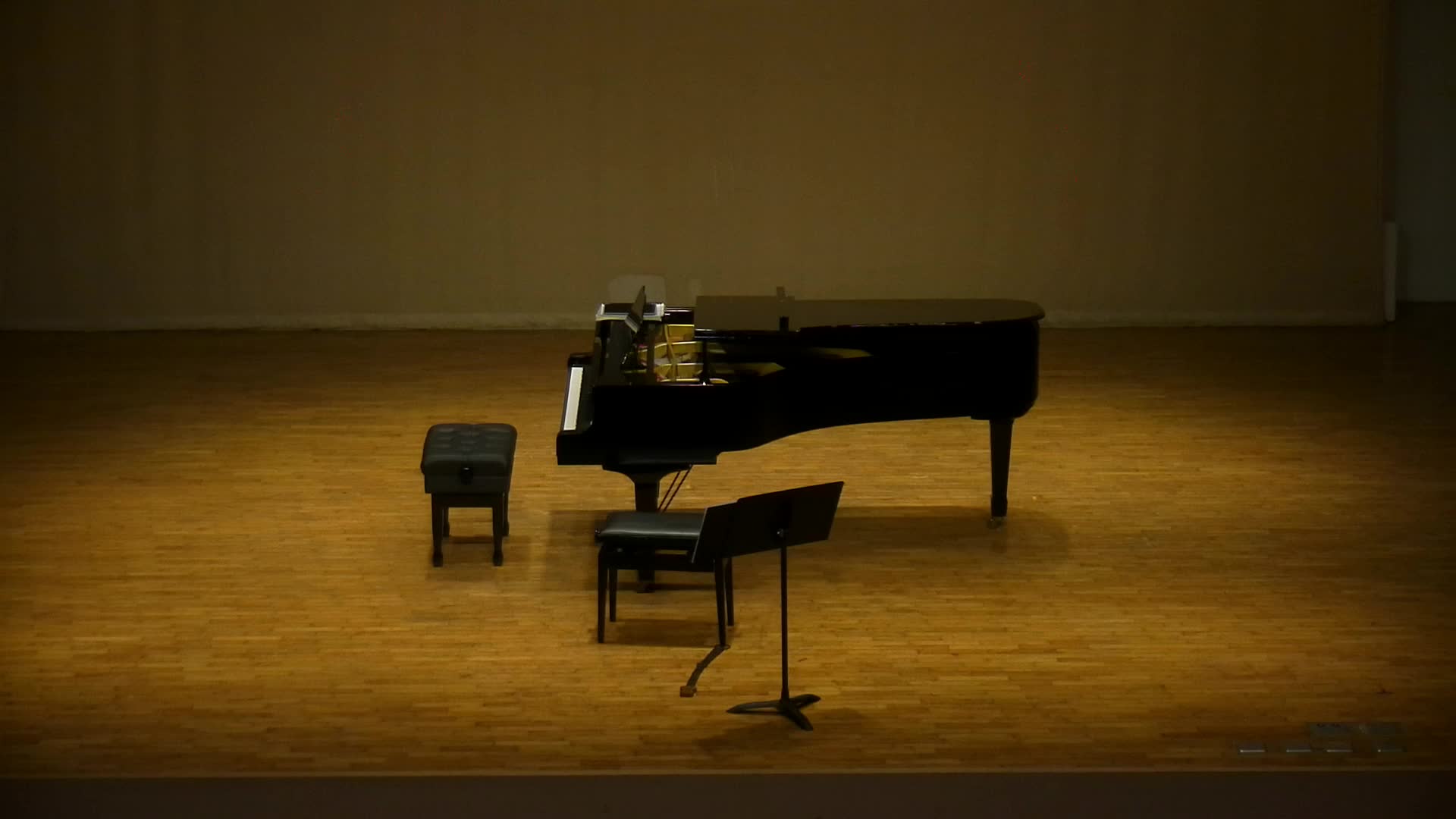 葛利格《給鋼琴與大提琴的 A 小調奏鳴曲》 作品三十六之分析與詮釋的封面圖