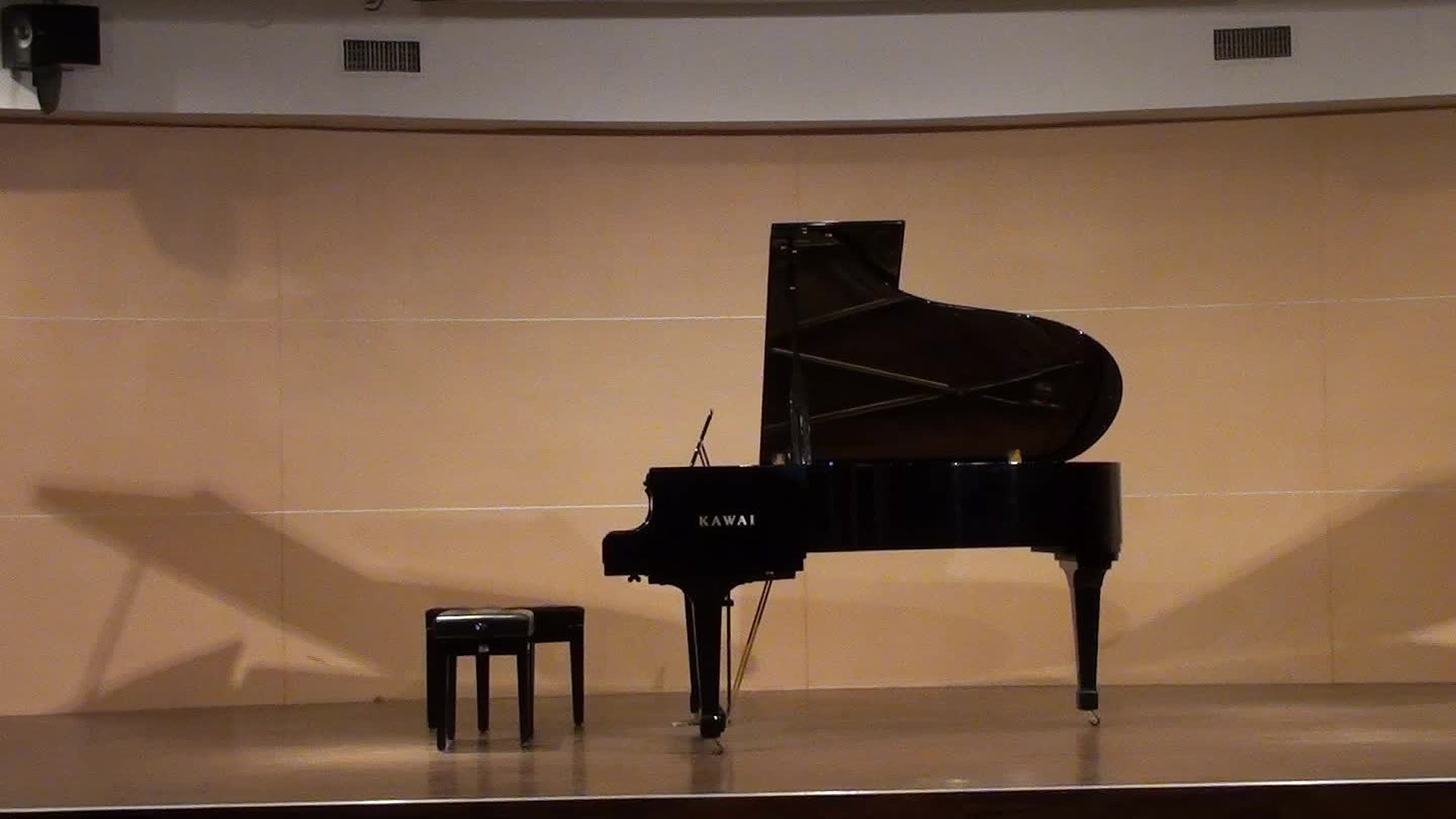 Chen, Yu Ming Violin Recital Program Introduction,Analysis and Interpretation's Cover