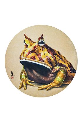 圓靈廣寒-紅金錢角蛙