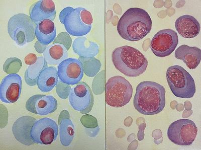 圖47-3〈疊韻〉系列的封面圖