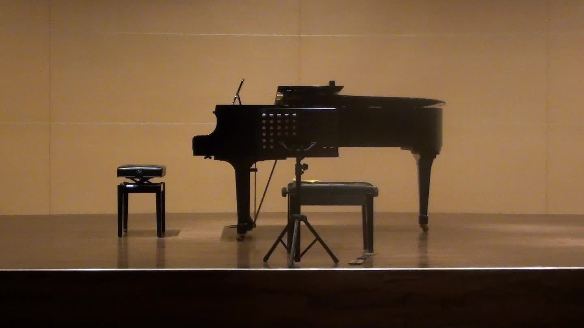 Hsu, Chien-Wen Cello Recital Program Introduction, Analysis and Interpretation's Cover