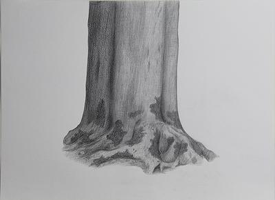 樹的意象與蛻變─胡淨惠創作論述-圖20