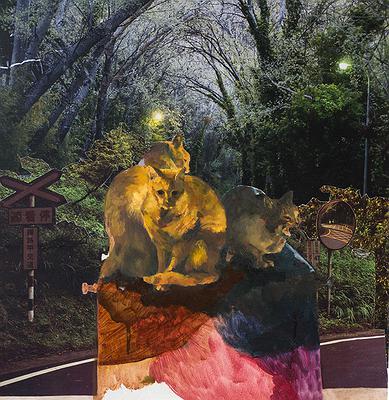 From the Mountains to the Sea: Walking Across Taiwan's Cover