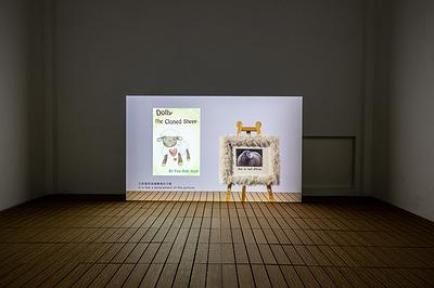 's Cover